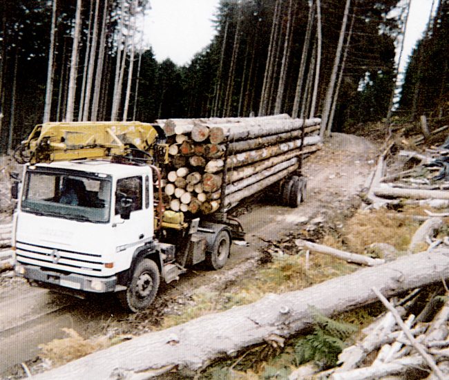 Photos scierie ancienne CD 030